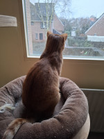 /album/198/whatsapp-image-2026-02-23-at-21-24-17-2-jpeg/